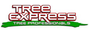 treeexpresssanangelo